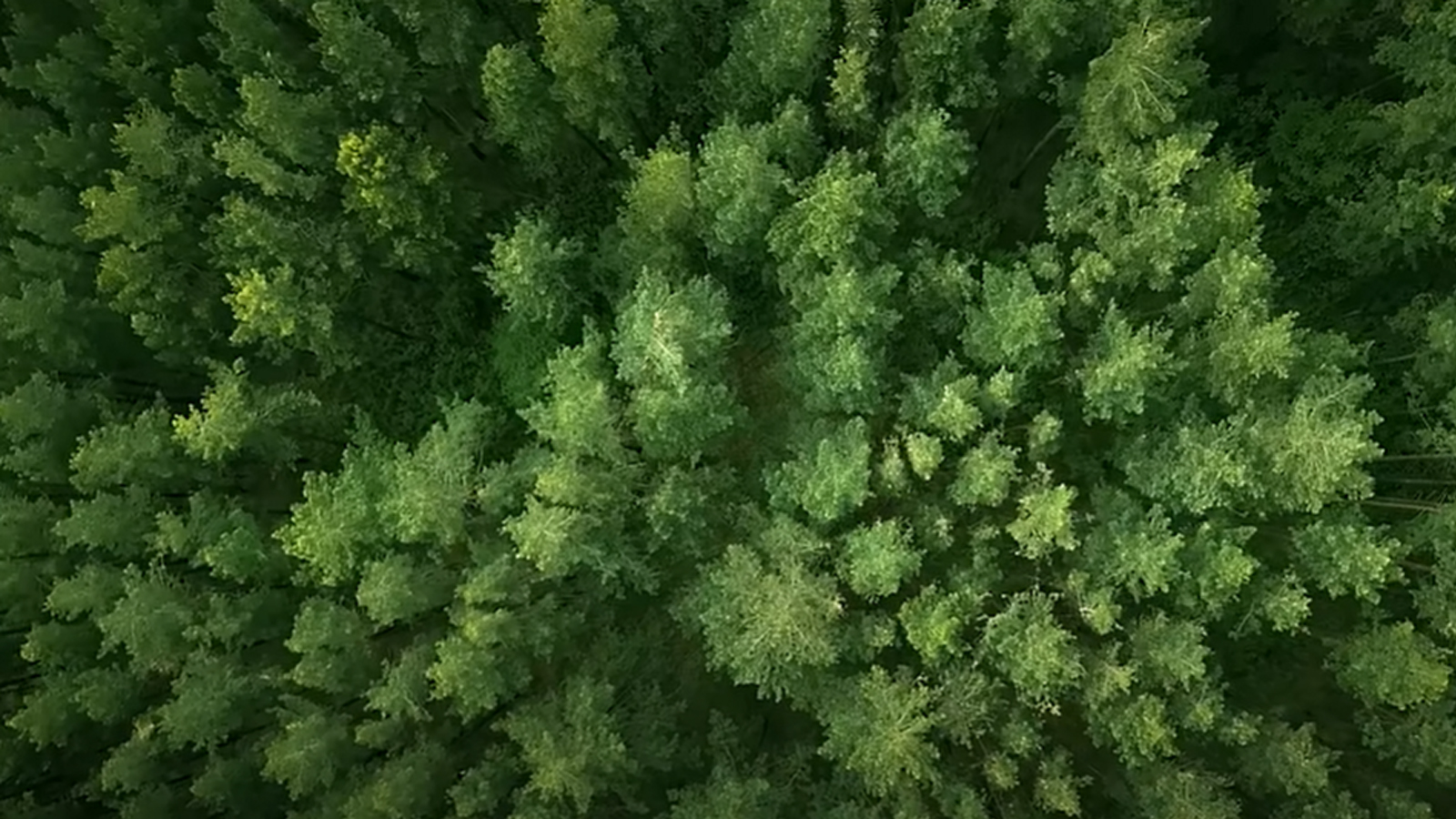 365上市公司官网全新愿景宣传片《通过创新解决方案,赋能更绿色的未来》